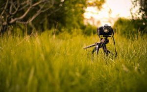 16576 canon camera in the grass 1920x1200 photography wallpaper 300x188 - 16576-canon-camera-in-the-grass-1920x1200-photography-wallpaper